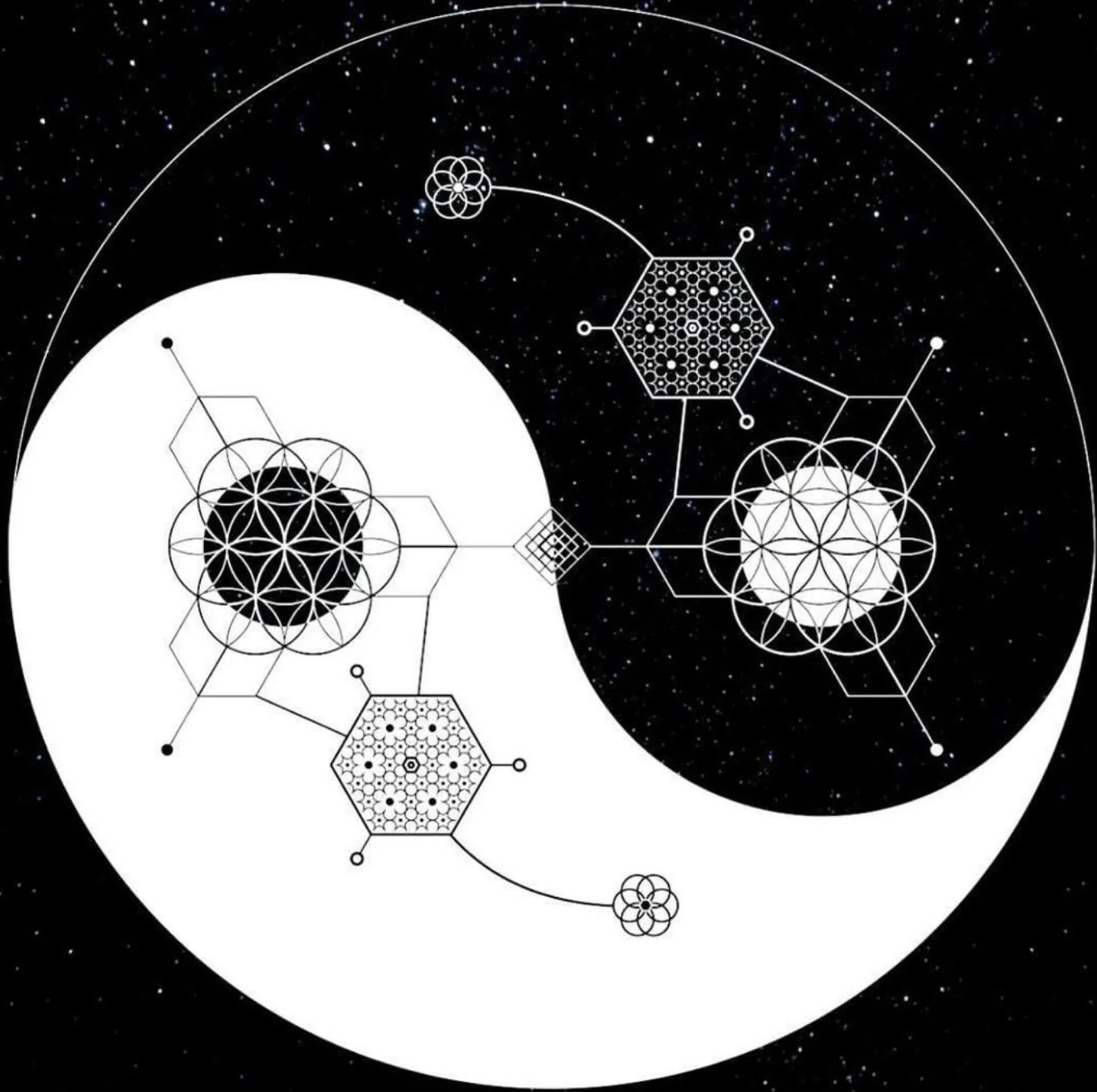 A yin-yang symbol with geometric and molecular patterns.