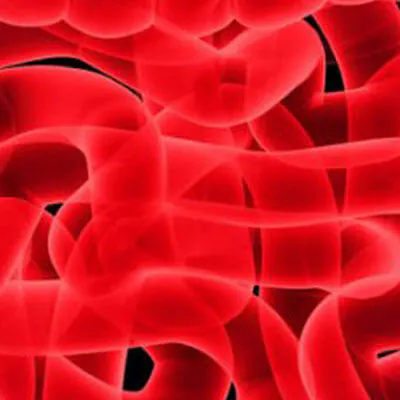 Healing Leaky Gut