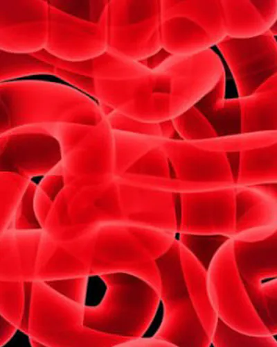 Healing Leaky Gut