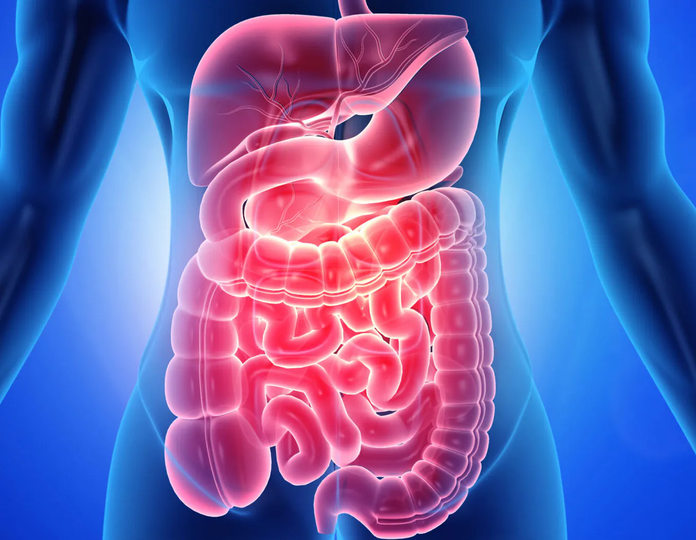 Gastrointestinal Health