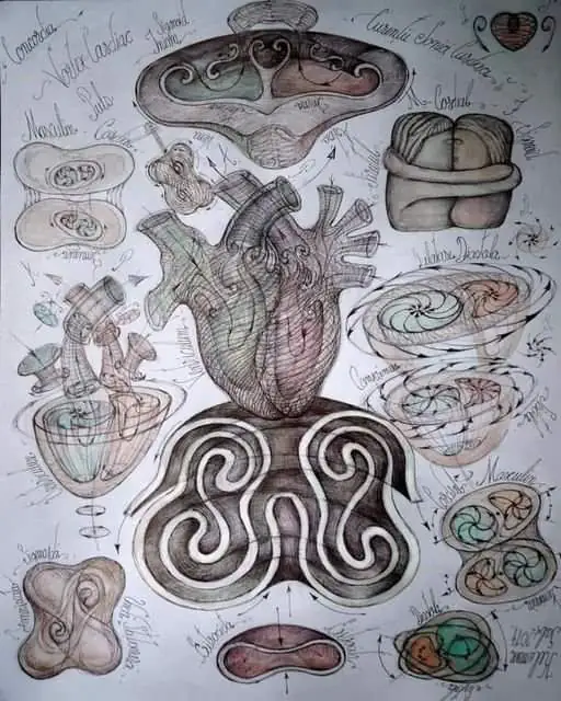 Artistic depiction of a heart surrounded by abstract, organic shapes and patterns.
